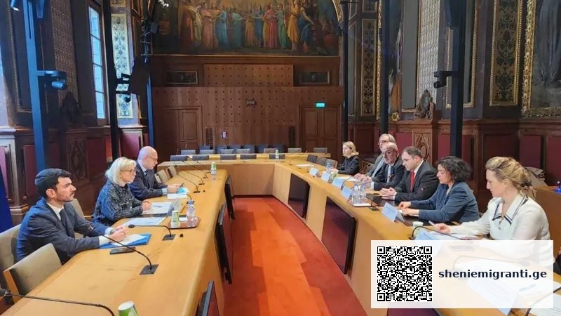 ოფიციალური ვიზიტი