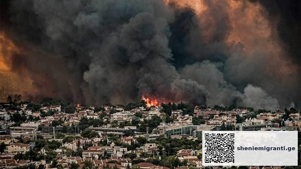 ტყის ხანძარი